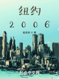 纽约2006